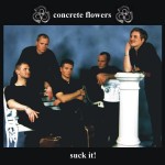 Cover_suck_it!